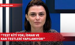 Aslı Murat: Mahkeme emirleri yerine getirilemiyor…