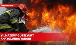 Yılmazköy-Güzelyurt anayolunda yangın