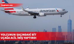 Yolcunun saçındaki bit uçağa acil iniş yaptırdı