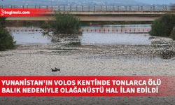 Yunanistan'ın Volos kentinde tonlarca ölü balık nedeniyle olağanüstü hal ilan edildi