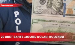 2 bin ABD dolarını tedavüle sürmek istedi...