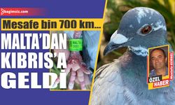 Mesafe bin 700 km…