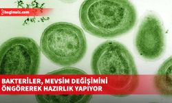 Bakteriler, mevsim değişimini öngörerek hazırlık yapıyor