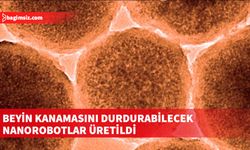 Araştırma ekibi, bu teknolojinin insan hastalarda da güvenle kullanılabileceğini düşünüyor