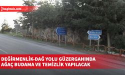 Değirmenlik-Dağ Yolu güzergahında ağaç budama ve temizlik yapılacak