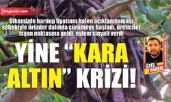 Yine “kara altın” krizi!