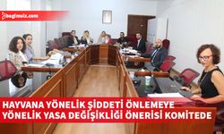 Cumhuriyet Meclisi, Hukuk, Siyasi İşler, Dış İlişkiler ve Savunma Komitesi toplantı