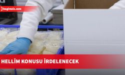 Hellim konusunda "izleme komitesi" toplantısı yapılacak...