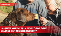 İnsan ve köpeklerin beyni "göz göze gelince senkronize oluyor"