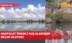 KUŞKOR, Haspolat Lagünleri ve bu alandaki kuş varlığı hakkında açıklamalarda bulundu