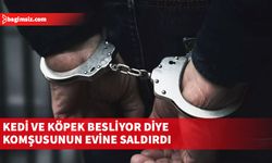 Lapta’da evinde evcil hayvan beslediği gerekçesiyle komşunun evine parke taşıyla saldırdı!