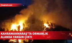 Kahramanmaraş'ta orman yangını