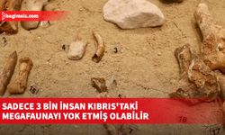 Sadece 3 bin insan Kıbrıs'taki megafaunayı yok etmiş olabilir