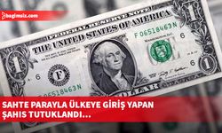 Sahte parayla ülkeye giriş yapan şahıs tutuklandı…