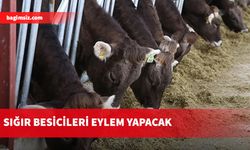 Rum Başkanlık Sarayı’nda eylem yapacaklar...