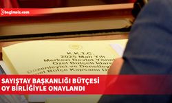 Sayıştay Başkanlığı bütçesi oy birliğiyle onaylandı