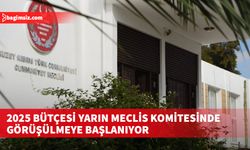 2025 bütçesi yarın Meclis komitesinde görüşülmeye başlanıyor