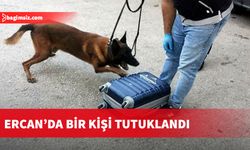 Narko köpek tepki verdi, uyuşturucuyu yakaladı