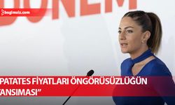 TDP'den hükümete eleştiri