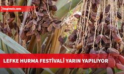 Lefke Hurma Festivali yarın yapılıyor