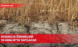 Kuraklık ödemeleri 30 Aralık’ta yapılacak