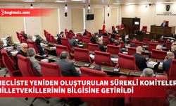 Cumhuriyet Meclisi'nde yeniden oluşturulan sürekli komiteler milletvekillerinin bilgisine getirildi