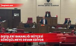 Dışişleri Bakanlığı bütçesi görüşülmeye devam ediyor