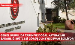 Genel Kurul’da Tarım ve Doğal Kaynaklar Bakanlığı bütçesi görüşülmeye devam ediliyor