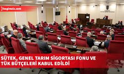 Sütek, Genel Tarım Sigortası Fonu ve TÜK bütçeleri kabul edildi