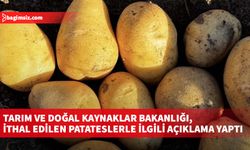 Tarım ve Doğal Kaynaklar Bakanlığı, ithal edilen patateslerle ilgili açıklama yaptı