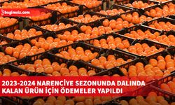 2023-2024 narenciye sezonunda dalında kalan ürün için ödemeler yapıldı