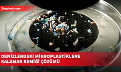 Denizlerdeki mikroplastiklere kalamar kemiği çözümü