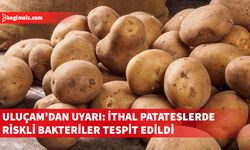 Ziraat mühendisleri, ithal patateste zararlı analizi yapılıp yapılmadığını sordu