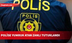 Polise yumruk attı, kaçak yaşadığı ortaya çıktı!