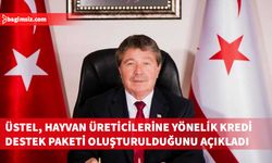 Başbakan Üstel: Küçükbaş hayvan üreticilerine yönelik 250 Milyon TL’lik kredi paketi oluşturuldu