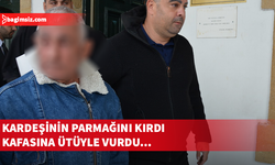 Arazi meselesi yüzünden kardeşinin parmağını kırdı, kafasına ütüyle vurdu...