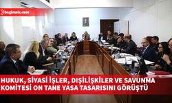 Hukuk, Siyasi İşler, Dışilişkiler ve Savunma Komitesi on tane yasa tasarısını görüştü