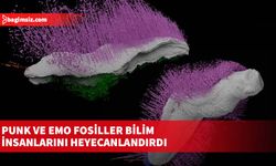 Punk ve Emo fosiller bilim insanlarını heyecanlandırdı