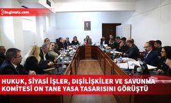 Hukuk, Siyasi İşler, Dışilişkiler ve Savunma Komitesi on tane yasa tasarısını görüştü