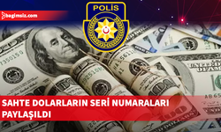 Polisten sahte dolar uyarısı