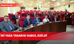 Meclis Genel Kurulu'nda iki yasa tasarısı kabul edildi