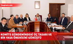 Hukuk, Siyasi İşler, Dışilişkiler ve Savunma Komitesi gündemindeki üç tasarı ve bir yasa önerisini görüştü