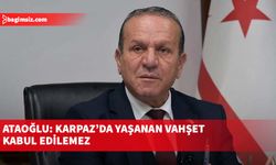 Ataoğlu: Karpaz’da yaşanan vahşet kabul edilemez