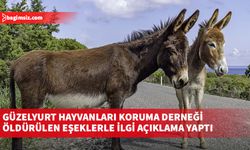 Güzelyurt Hayvanları Koruma Derneği öldürülen eşeklerle ilgi açıklama yaptı