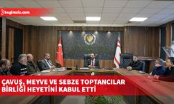 Çavuş, Meyve ve Sebze Toptancılar Birliği heyetini kabul etti