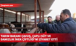 Tarım Bakanı Çavuş, Çaplı Süt ve Damızlık İnek Çiftliği’ni ziyaret etti