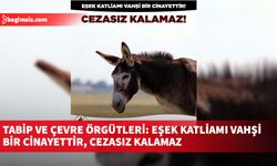 Tabip ve çevre örgütleri: Eşek katliamı vahşi bir cinayettir, cezasız kalamaz
