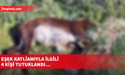 Eşek katliamıyla ilgili 4 kişi tutuklandı…