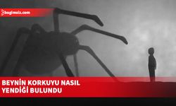 Beynin korkuyu nasıl yendiği bulundu
