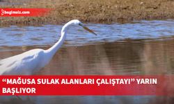 “Mağusa Sulak Alanları Çalıştayı” yarın yapılıyor